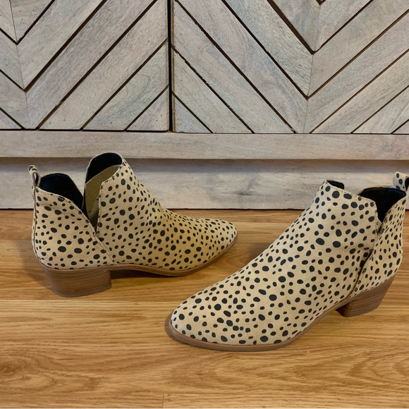 Brand new Dolce Vita Kaidie leopard boots. - Picture 5 of 5